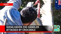 تمساح يهاجم مربي حيوانات في شولهيفين