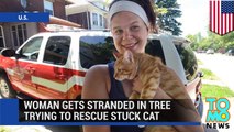 امرأة تعلق فوق شجرة بعد أن حاولت إنقاذ قطة