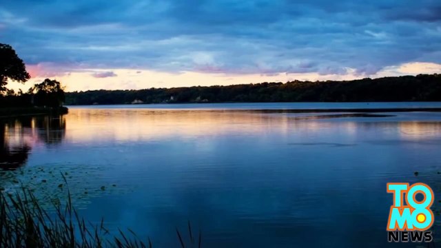 قندس غاضب يهاجم رجل في نيويورك