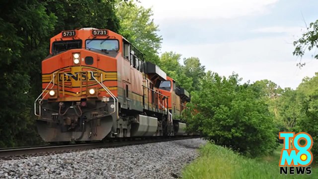 حادث قطار والطفل ينجو والجد يموت