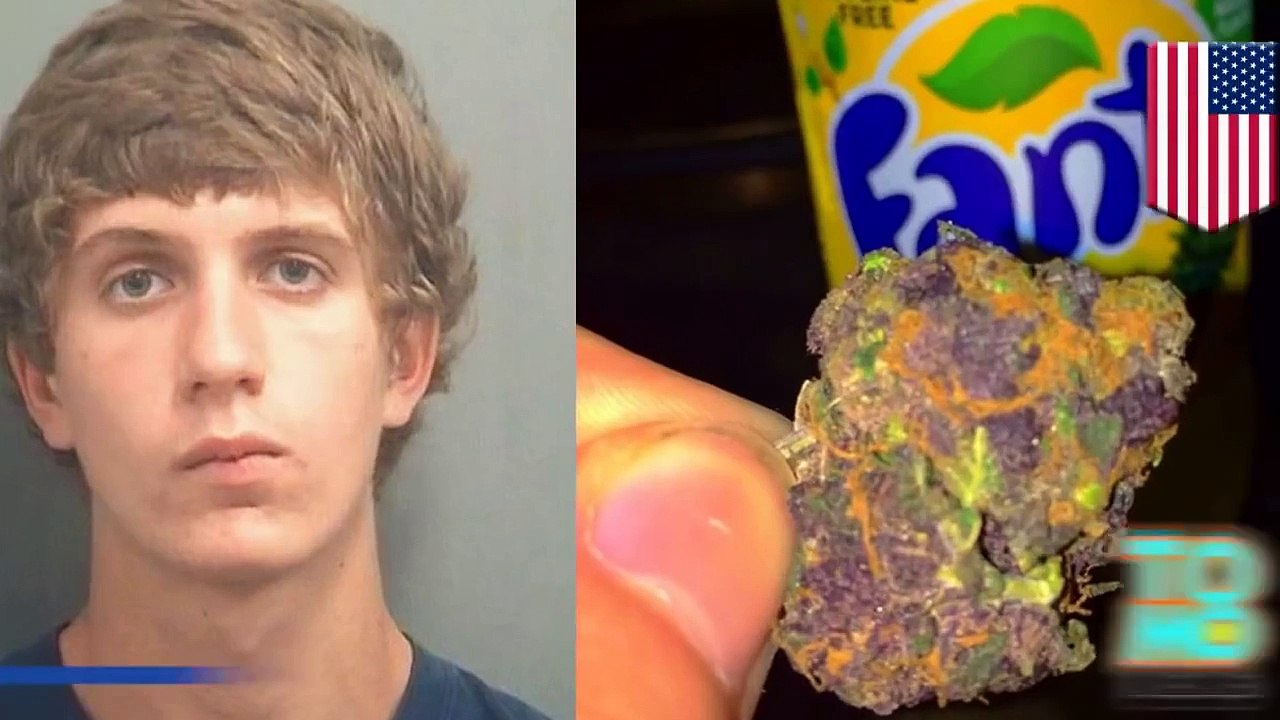 مراهق من فلوريدا ينشر صور له وهو يبيع ويتعاطى المخدرات