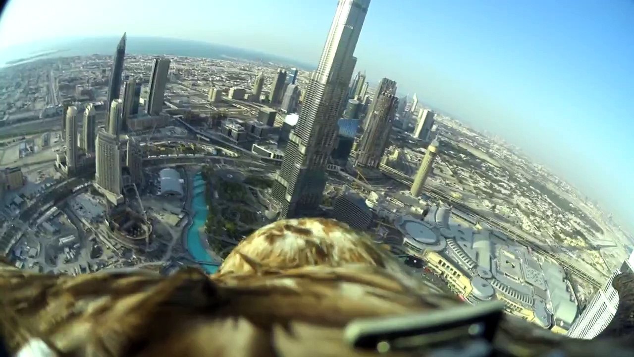 Eagle-cam_ Nosedive at 170KMph - BBC News