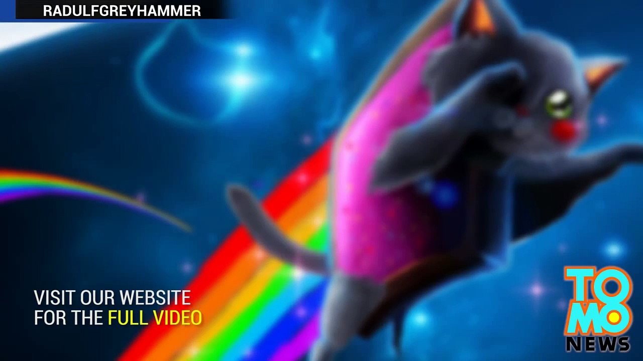 رجل من بروكلين يركل قطة ثم يواجه غضب الانترنت