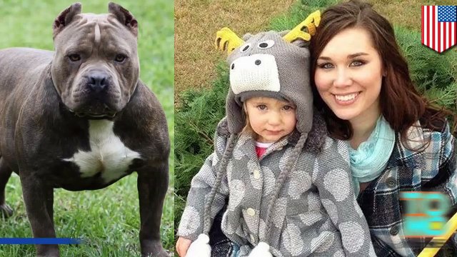 امرأة تقطع أذن كلب بأسنانها لتنقذ رضيعتها