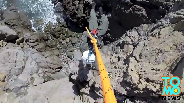 هيلكوبتر تنقذ كلب من على جرف