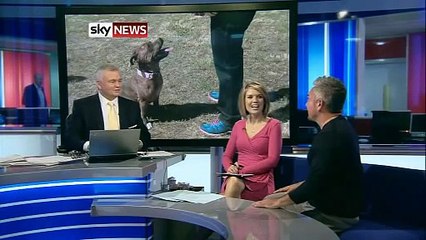 Cesar Millan, Dog Whisperer, Rejects Cruelty Claims