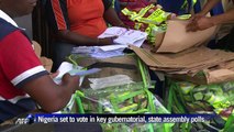 Nigeria set to vote in key gubernatorial, state assembly polls
