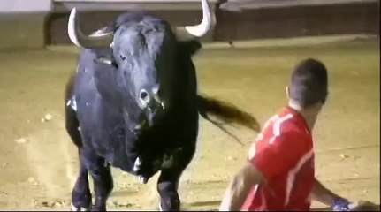 LOS TIENE MUY GORDOS, PARA SUBIRSE A UN TORO DE 600 KILOS