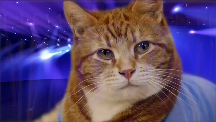 Clubic Week 2.0 : Microsoft se fait vieux