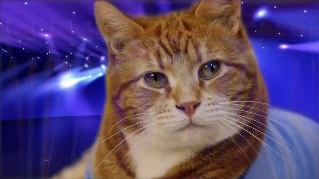 Clubic Week 2.0 : Microsoft se fait vieux