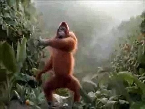 Por fin es viernes mañana fiesta despedidas de solteros y solteras en malaga showdespedidas.com