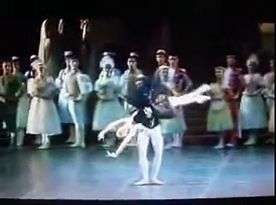 clip lago dei cigni