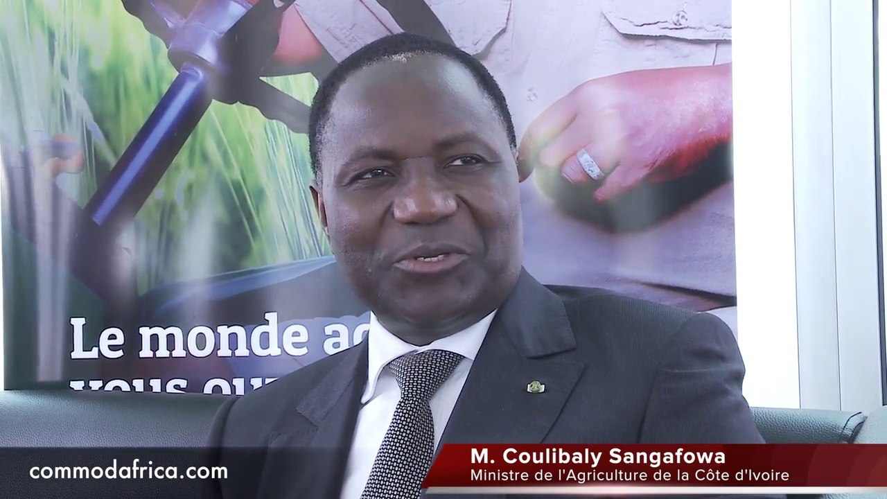 Entretien Exclusif Avec M Coulibaly Sangafowa Ministre De L