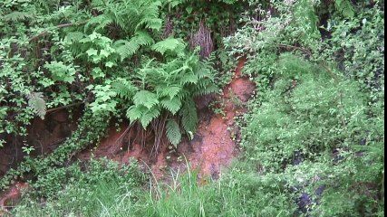 Wisdom of The Elohim — Part 6 12  Responsibility and Courage