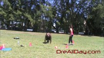 Dre Baldwin: Explosive Jump Power - Double & Single Leg Donkey Kicks | Basketball Vertical Jump