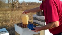 Feeding Honey Bees.  Beekeeping Winter & Spring. Different Methods