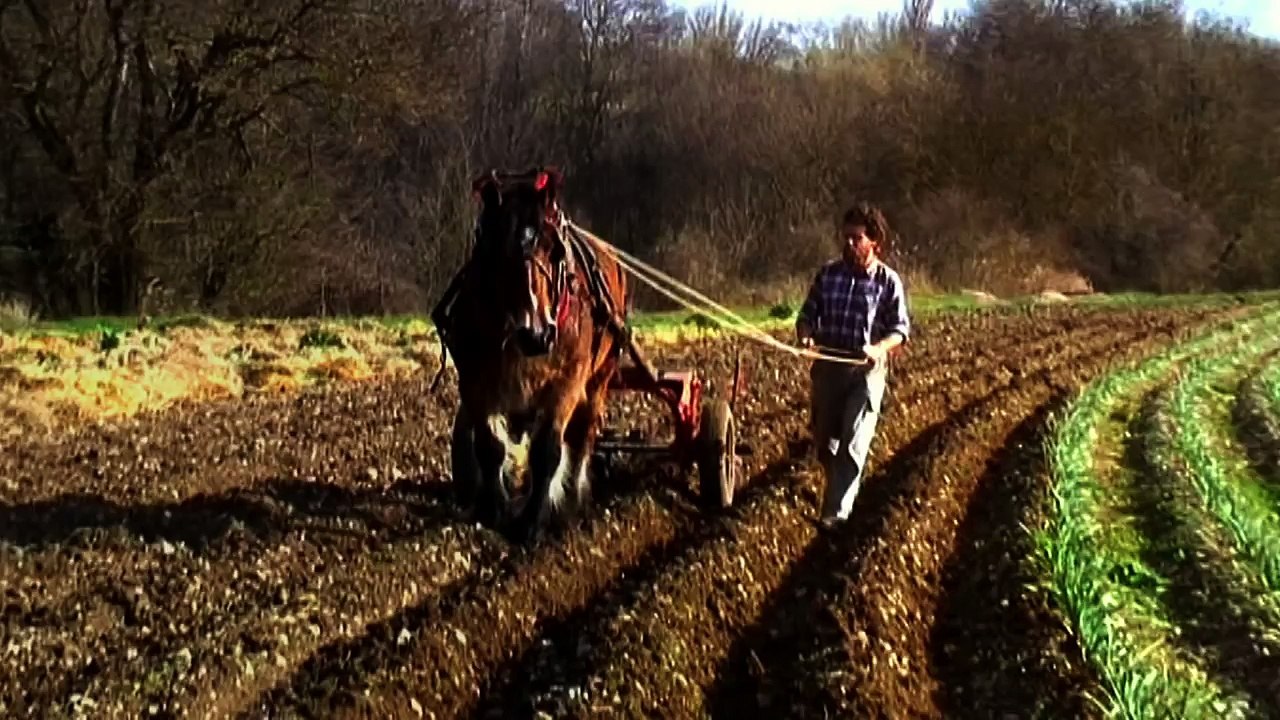 Zaz - Si (clip officiel)