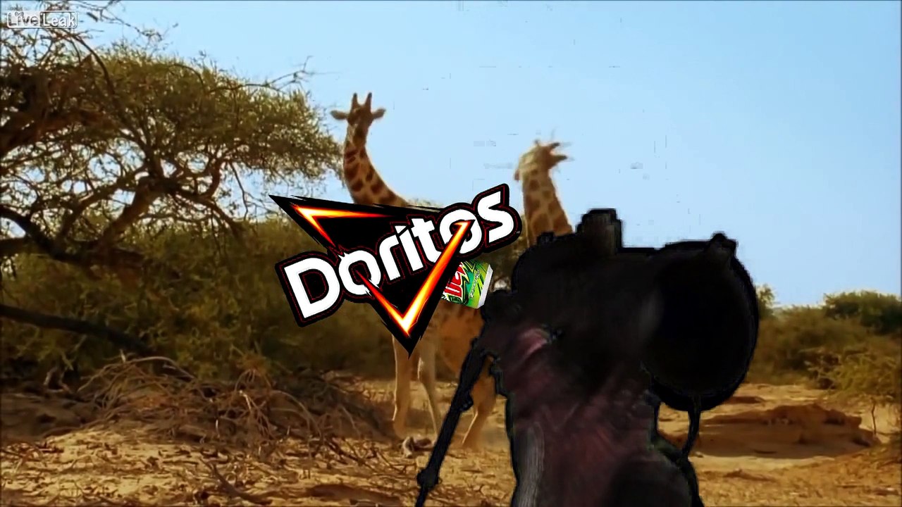 MLG giraffee