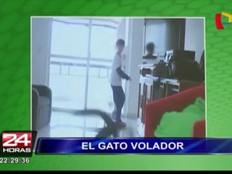 Bloque Deportivo: conoce a Taffarel, el 'gato volador' de Brasil (2/2)
