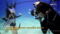 Photographers Underwater Photo Shoot Photographer Mick Gleissner with Gigi