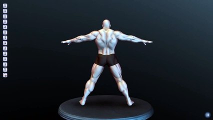 Base male model (muscular)