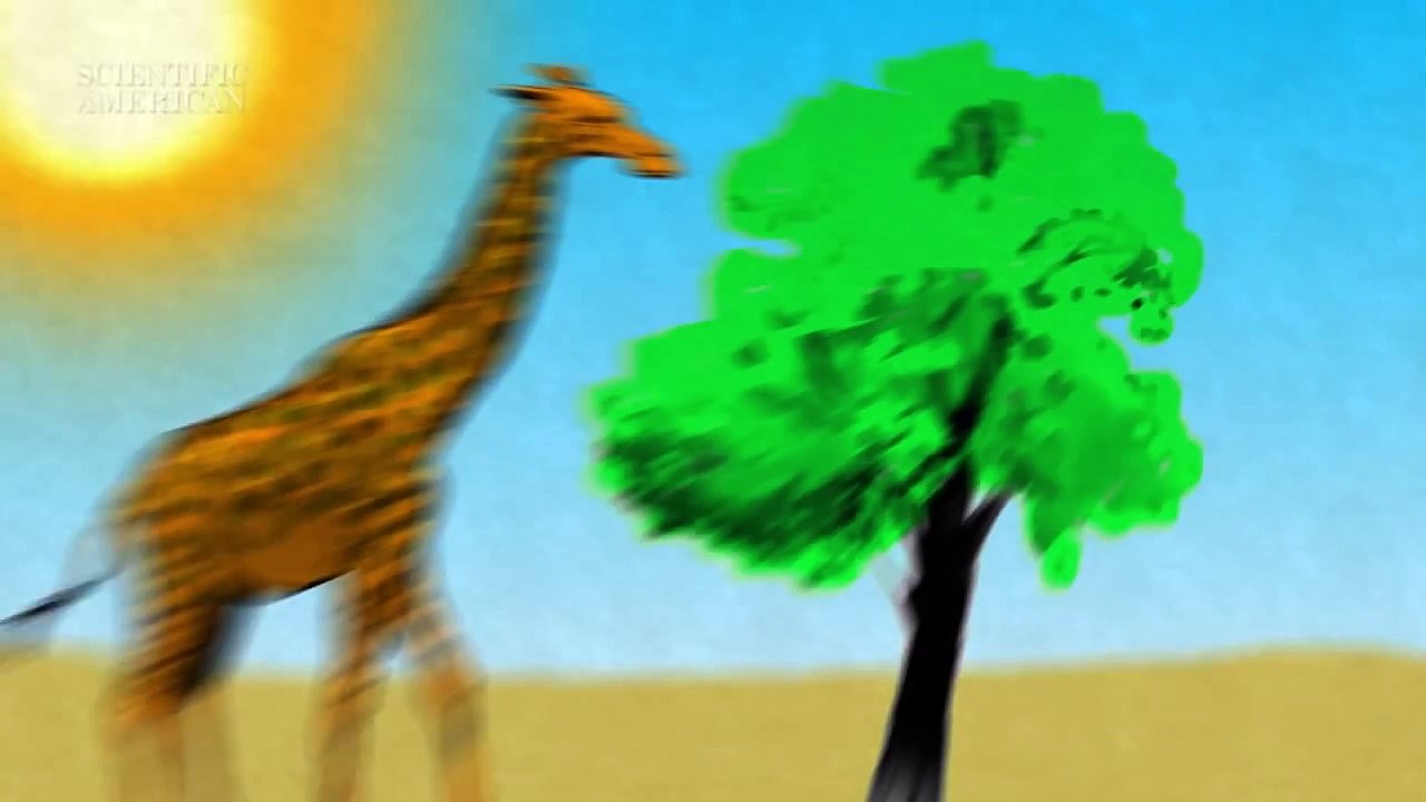 How Does Radiocarbon Dating Work? - Instant Egghead #28
