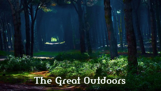 TeknoAXE's Royalty Free Music - Royalty Free Background Music #22 (The Great Outdoors) Fiddle/Violins/Rustic