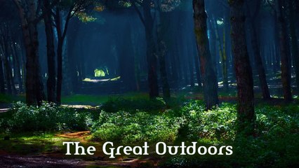 TeknoAXE's Royalty Free Music - Royalty Free Background Music #22 (The Great Outdoors) Fiddle/Violins/Rustic