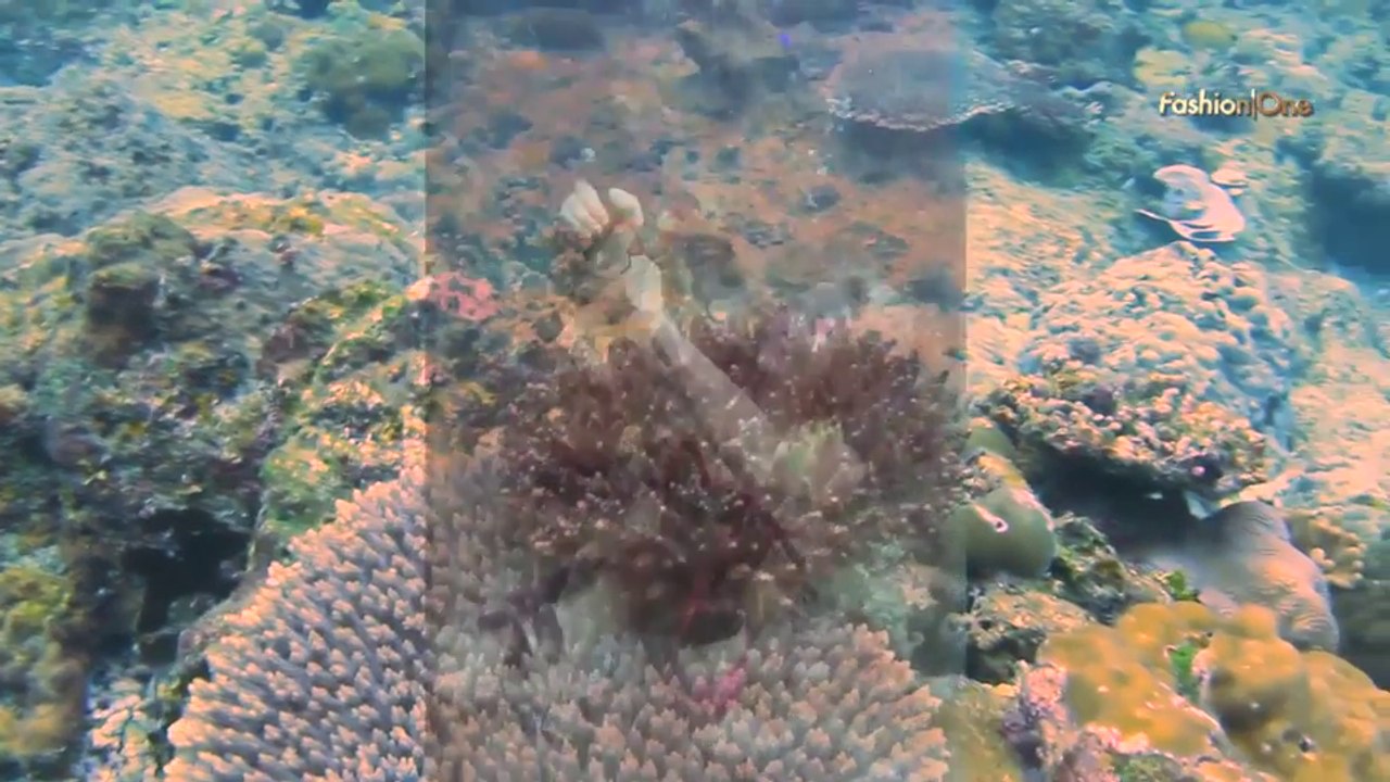 Photographers UNDERWATER OPEN OCEAN Photographer Mick Gleissner