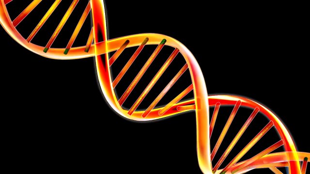 Extraterrestrials Encounter of December 13th, 1973: “We Created Humanity”!