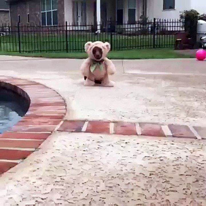 adoooorable nounours!!!!