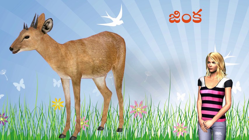 Animal Names in Telugu