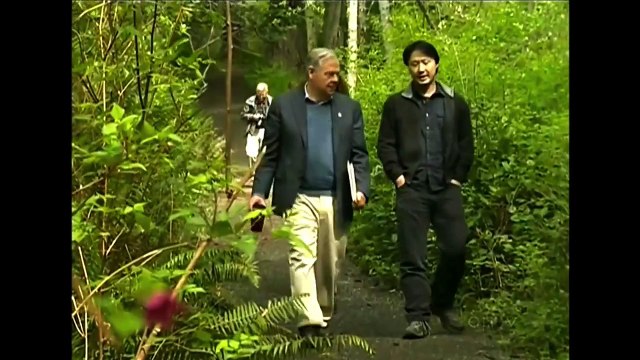 CTV - Environmental Law Centre Proposes BC Old-Growth Act