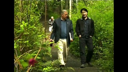 CTV - Environmental Law Centre Proposes BC Old-Growth Act