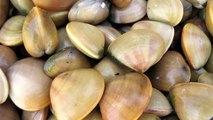 How To Prepare Clams
