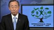 UN Secretary-General Ban Ki-moon launches the International Year of Forests (Forests 2011)