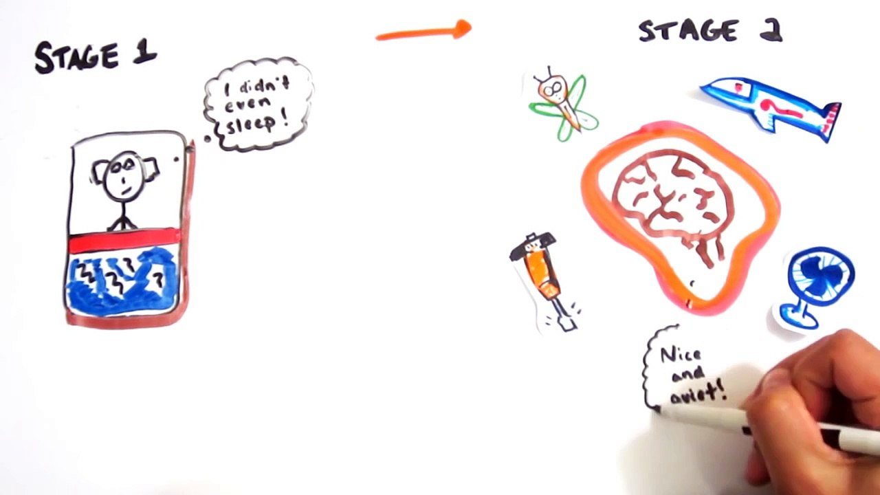 The Scientific Power of Naps