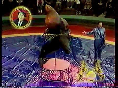 staroetv.su / Рекламный блок (Петербург — Пятый канал, 10.06.2007)