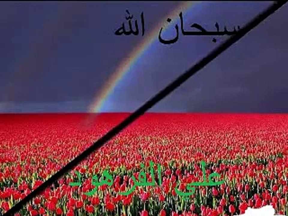 تلاوة مؤثرة  القارئ محمد صديق المنشاوي