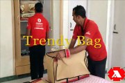 Trendy Bag - Our Innovation, Your Delight - Agarwal Packers and Movers Ltd.