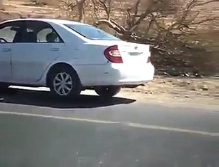 The world is full of many mysteries wonderful places  JawaniLife