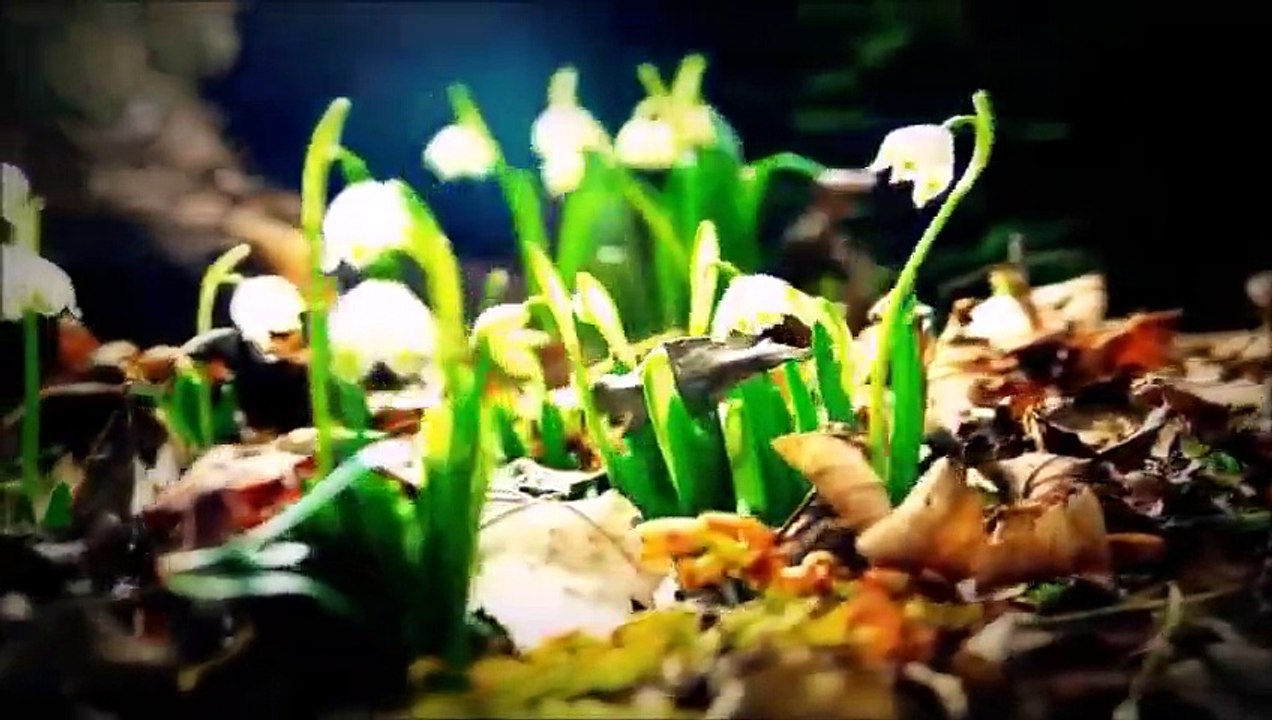 gürcan koç-geldiğinde çıldırayım