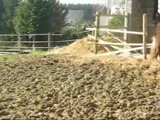 Rencontre entre Chokotoff et mes loulous