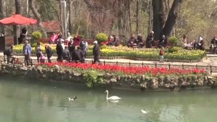 Emirgan Korusu'nda Cam Lale Vazosunun Açılışı Yapıldı