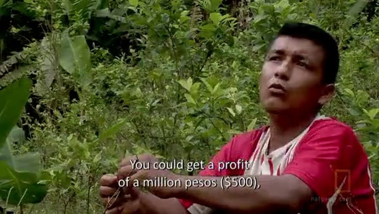 Drugs Inc COCAINA S01E01 (subtitulado)