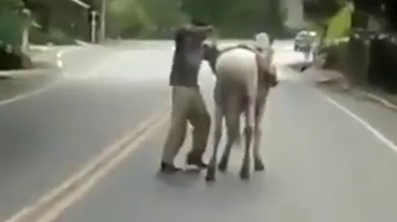 Please don't drink and drive