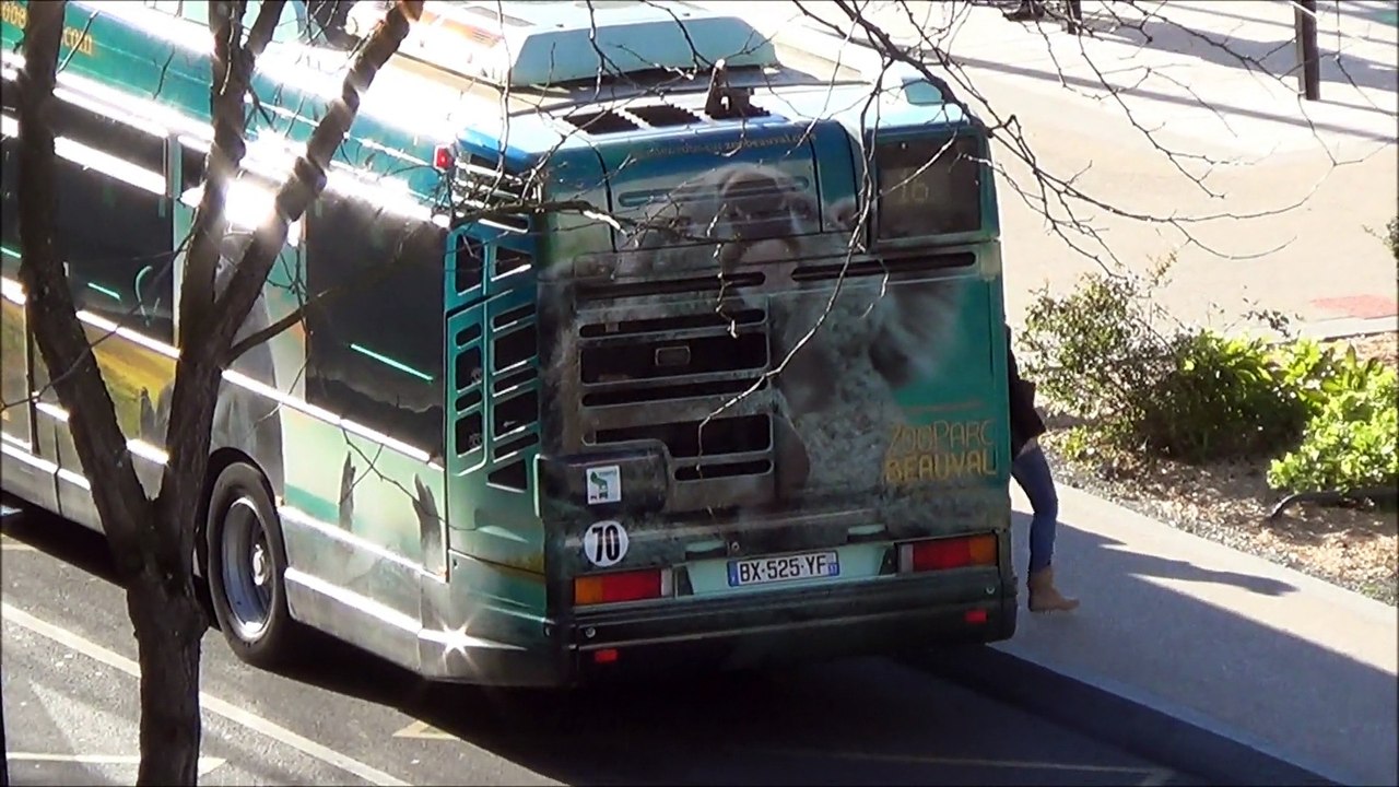 Heuliez GX317GPL Fil Bleu déco Zoo de Beauval