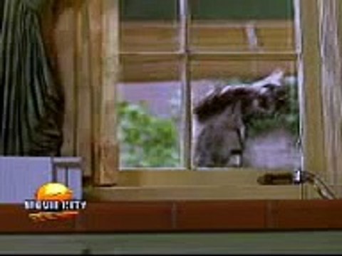 sindhi funny video post by dani samoo