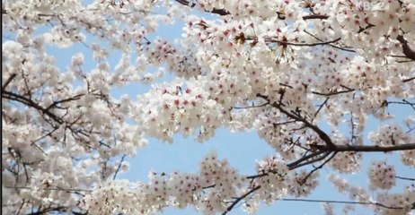 [150411] KBS 연예가중계 "윤하"인터뷰 봄바람 콘서트