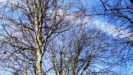 envie d'une vraie vie avec toi (vidéo)